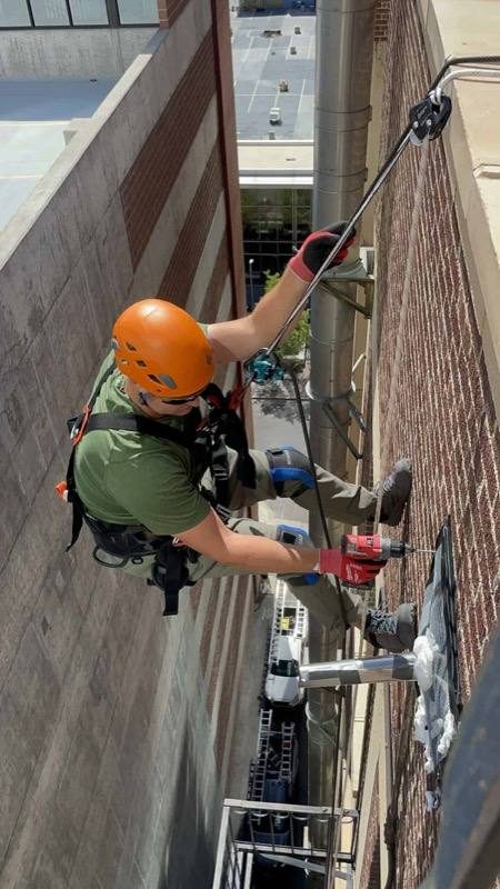 Commercial bat removal Wyoming